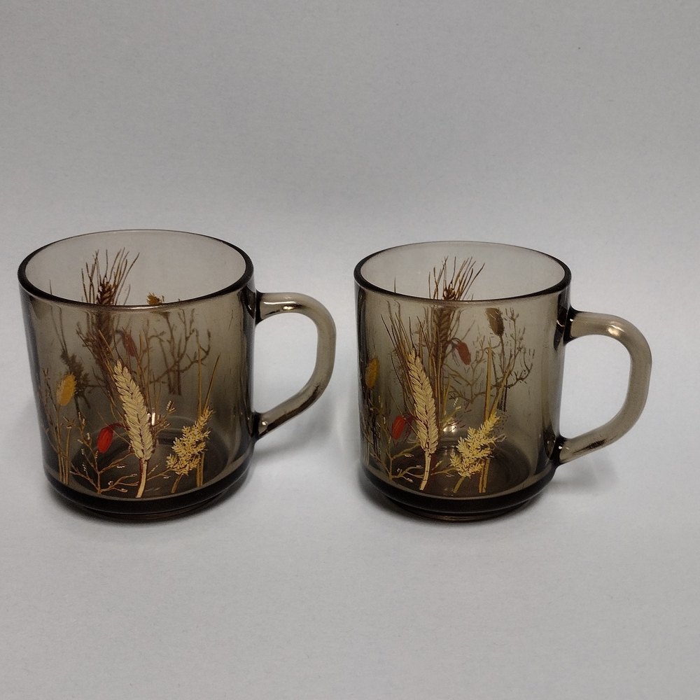 Lot of 2 Vintage Arcoroc 1970s France Glass Botanical Design Mugs